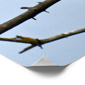 12x16ポスター(マット)、イーグル付 ポスター (角)