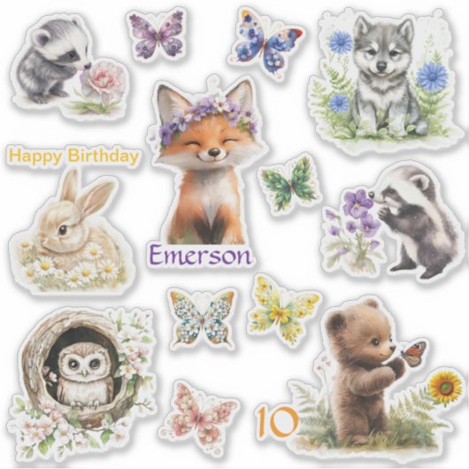 13カスタム枚のビニールカスタマイズ シール (正面)