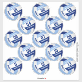 13ピースプレーヤーの名前の青い白バレーボール シール