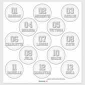 13人の女子・男子バレーボール選手用ステッカー(名入れ) シール (シート)