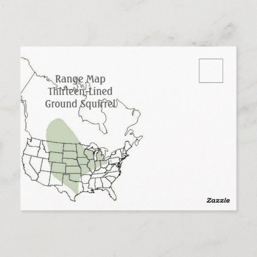 13列の地面リス ポストカード (裏面)