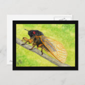 13年セミ絵画ダ ポストカード (正面/裏面)