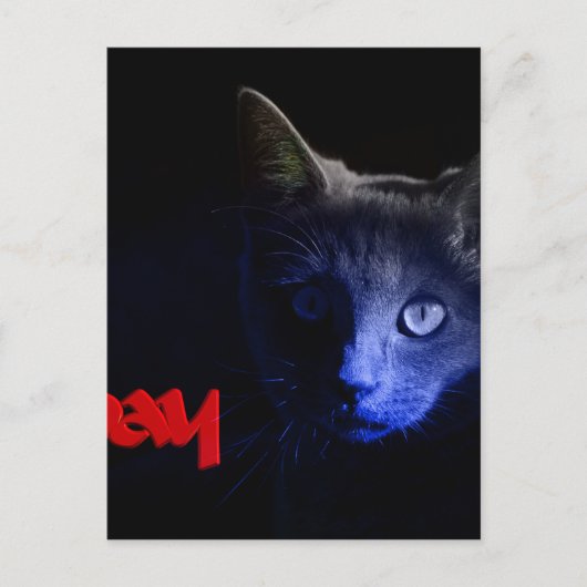 13日 ポストカード (正面)