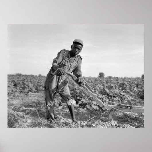 13歳の子どもがジョージアで野を耕す ポスター (正面)