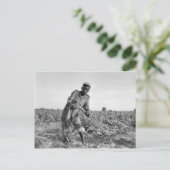 13歳の子どもがジョージアで野を耕す ポストカード (スタンド正面)