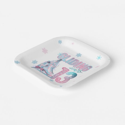 13歳の誕生日のスケートで滑るパーティー ペーパープレート (傾斜あり)