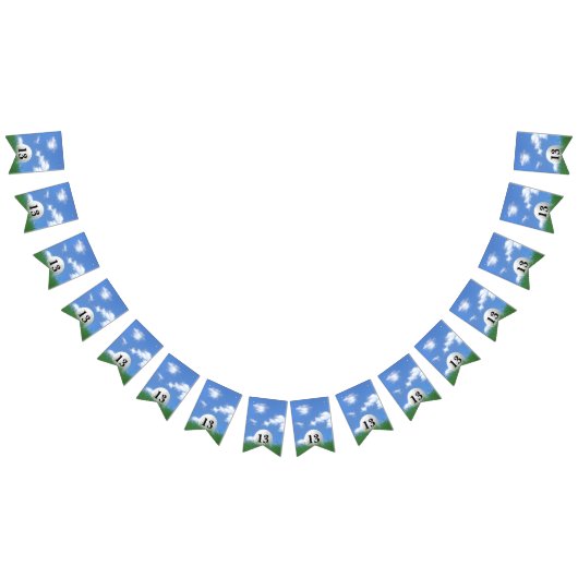 13歳の誕生日のバンティングフラッグのゴルフボール バンティングフラッグ (全)