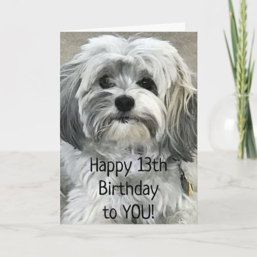 13番目の素晴らし10代の若者である必要がある誕生日 カード (正面)