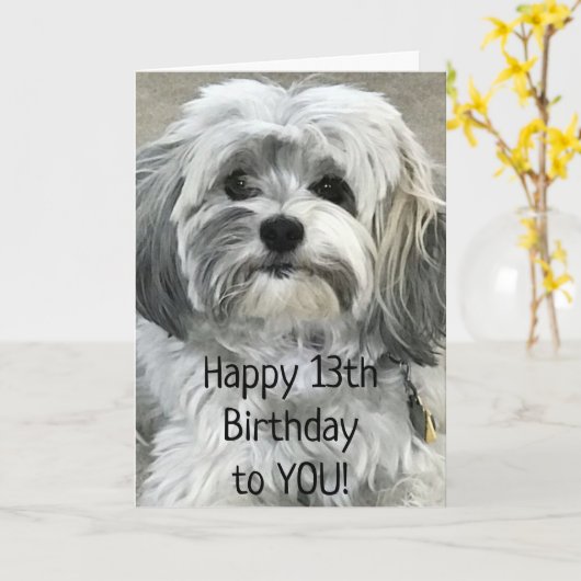 13番目の素晴らし10代の若者である必要がある誕生日 カード (黄色い花)