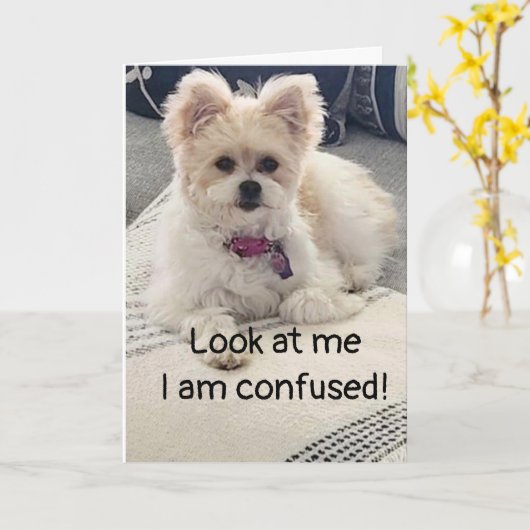 **13誕生日**大変な混乱！カード カード (黄色い花)