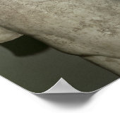 130 AD後のAntinousの姿 ポスター (角)