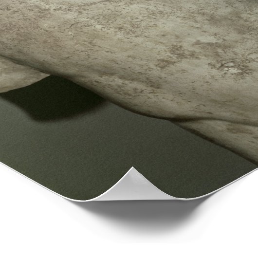 130 AD後のAntinousの姿 ポスター (角)