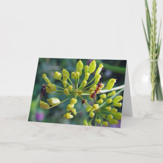 133.アリとハエと雑草 カード (正面)