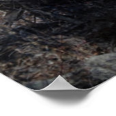 133.妖精と魔法使いの木 ポスター (角)