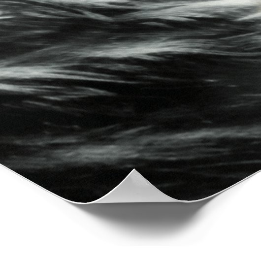 133.白いオオカミ ポスター (角)