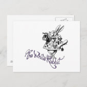 133.白うさぎ ポストカード (正面/裏面)