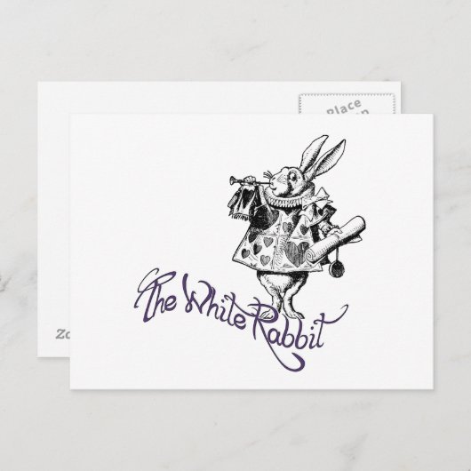 133.白うさぎ ポストカード (正面/裏面)