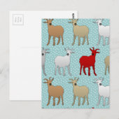 133.赤ヤギ ポストカード (正面/裏面)