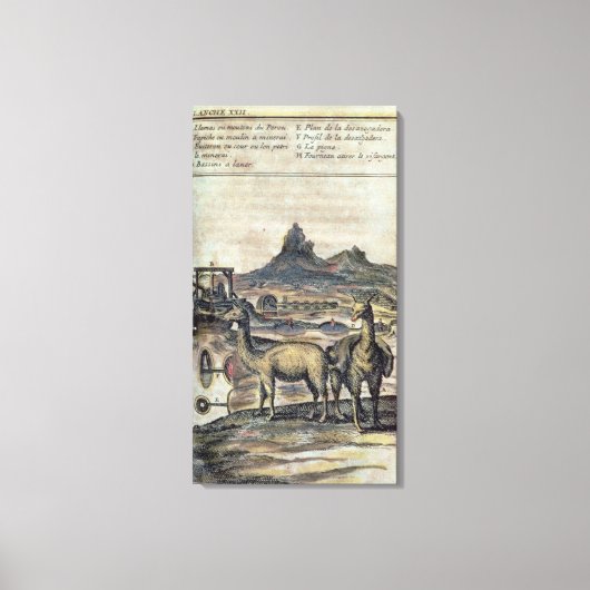 137-0627924ペルーの歴史からのイラストレーション キャンバスプリント (正面)