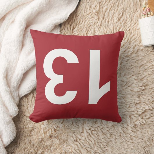 13 クッション (ブランケット)