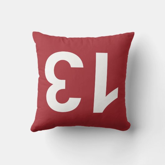 13 クッション (裏面)