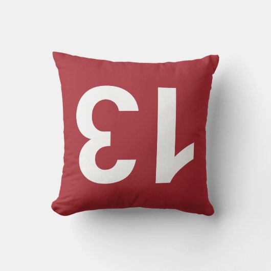 13 クッション (正面)