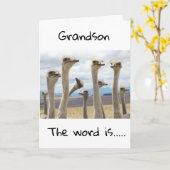 **13**今は10代の若者**孫** カード (黄色い花)