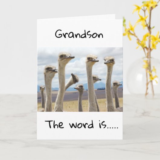 **13**今は10代の若者**孫** カード (黄色い花)