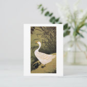 13.芦鵞図・若冲・リード・ガチョウ（若冲）日本美術 ポストカード (スタンド正面)