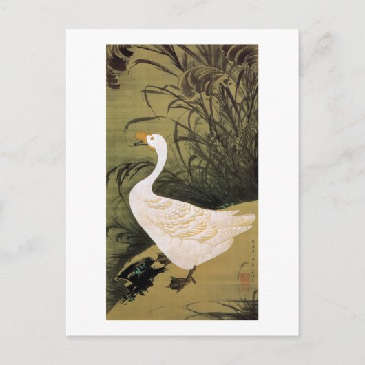 13.芦鵞図・若冲・リード・ガチョウ（若冲）日本美術 ポストカード (正面)