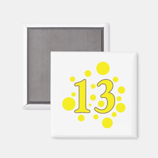 13-13 マグネット (正面/裏面)