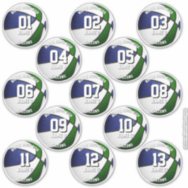 13 basketball stickers set blue green team colors シール