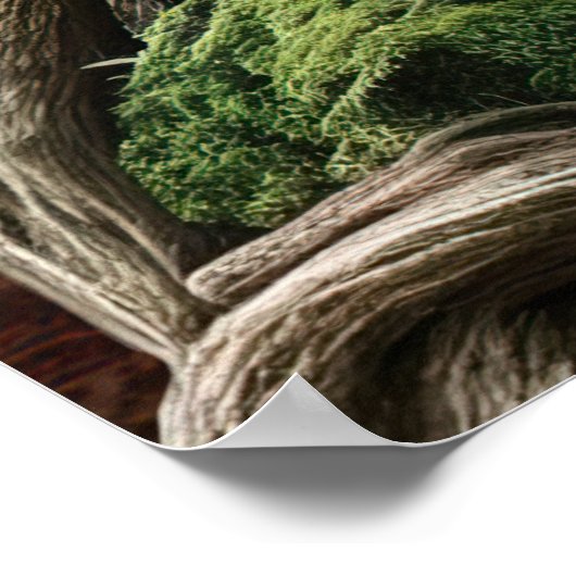 *~* 13 FD3 Tree of Life Guardian Earth Keeper ポスター (角)