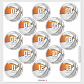 13 orange gray team colors basketball stickers シール (シート)