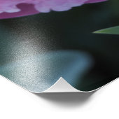 13"x19" ピンクの芍薬 フォトプリント            (角)