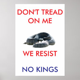 13 X 19 archival hearvy matte paper rally poster ポスター