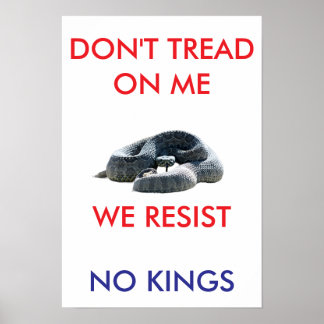 13 X 19 archival hearvy matte paper rally poster ポスター