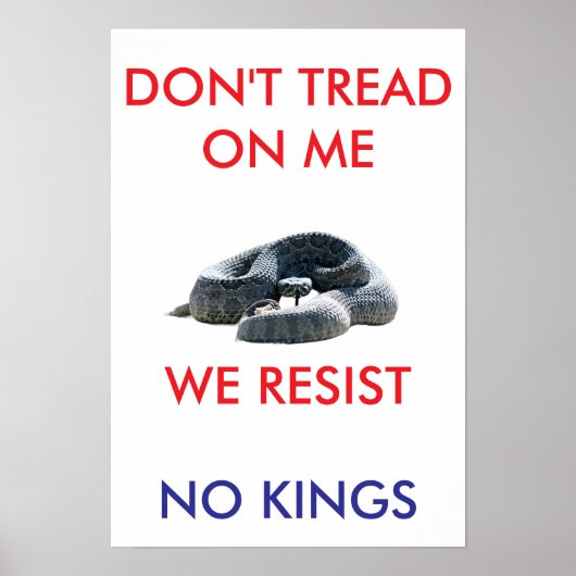 13 X 19 archival hearvy matte paper rally poster ポスター (正面)