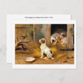 13a子犬 ポストカード (正面/裏面)