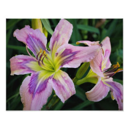 14インチx11インチデイリー フォトプリント           