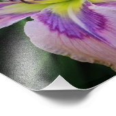 14インチx11インチデイリー フォトプリント            (角)