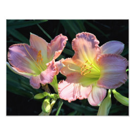 14インチx11インチデイリー フォトプリント           