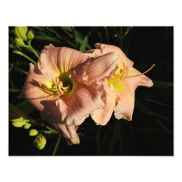 14インチx11インチデイリー フォトプリント           