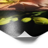 14インチx11インチデイリー フォトプリント            (角)