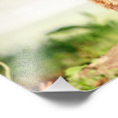 14時間365日のGroundhog フォトプリント (角)