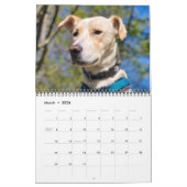 14枚の写真をフルカバー – カモダンレパーソナライズされたン カレンダー (3月 2026)