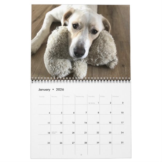 14枚の写真を完全にカバー – モダン パーソナライズされた カレンダー (1月 2026)