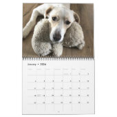 14枚の写真を完全にカバー – モダン パーソナライズされた カレンダー (1月 2026)