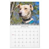 14枚モダンの写真フルカバレッジパーソナライズされた カレンダー (3月 2026)