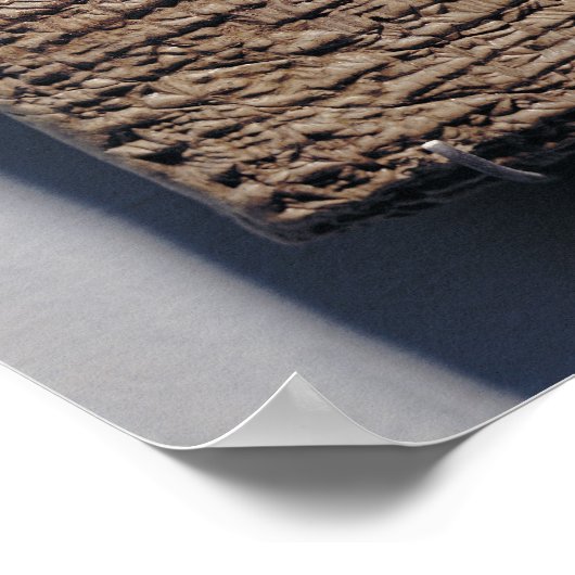 14行の数学的文字 ポスター (角)